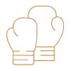 Boxing Studio Icon